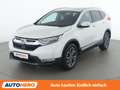 Honda CR-V 2.0 i-MMD Hybrid Executive 4WD Weiß - thumbnail 1