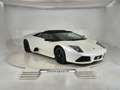 Lamborghini Murciélago Murcielago Roadster 6.5 LP 640 Weiß - thumbnail 22