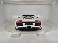 Lamborghini Murciélago Murcielago Roadster 6.5 LP 640 Weiß - thumbnail 3