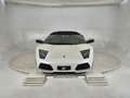 Lamborghini Murciélago Murcielago Roadster 6.5 LP 640 Weiß - thumbnail 2