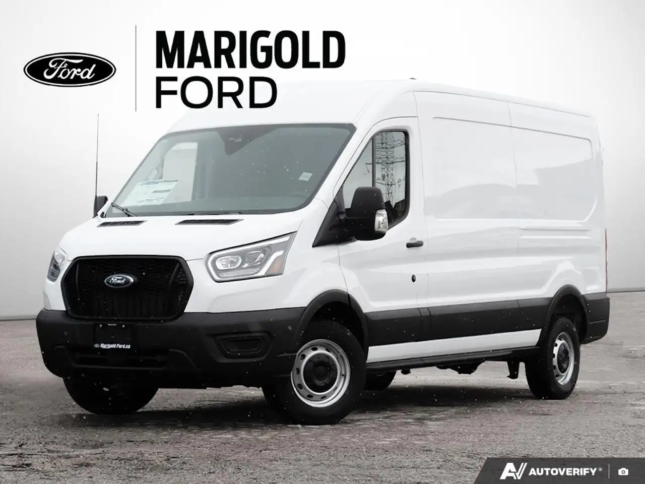 2025 Ford Transit Cargo Van