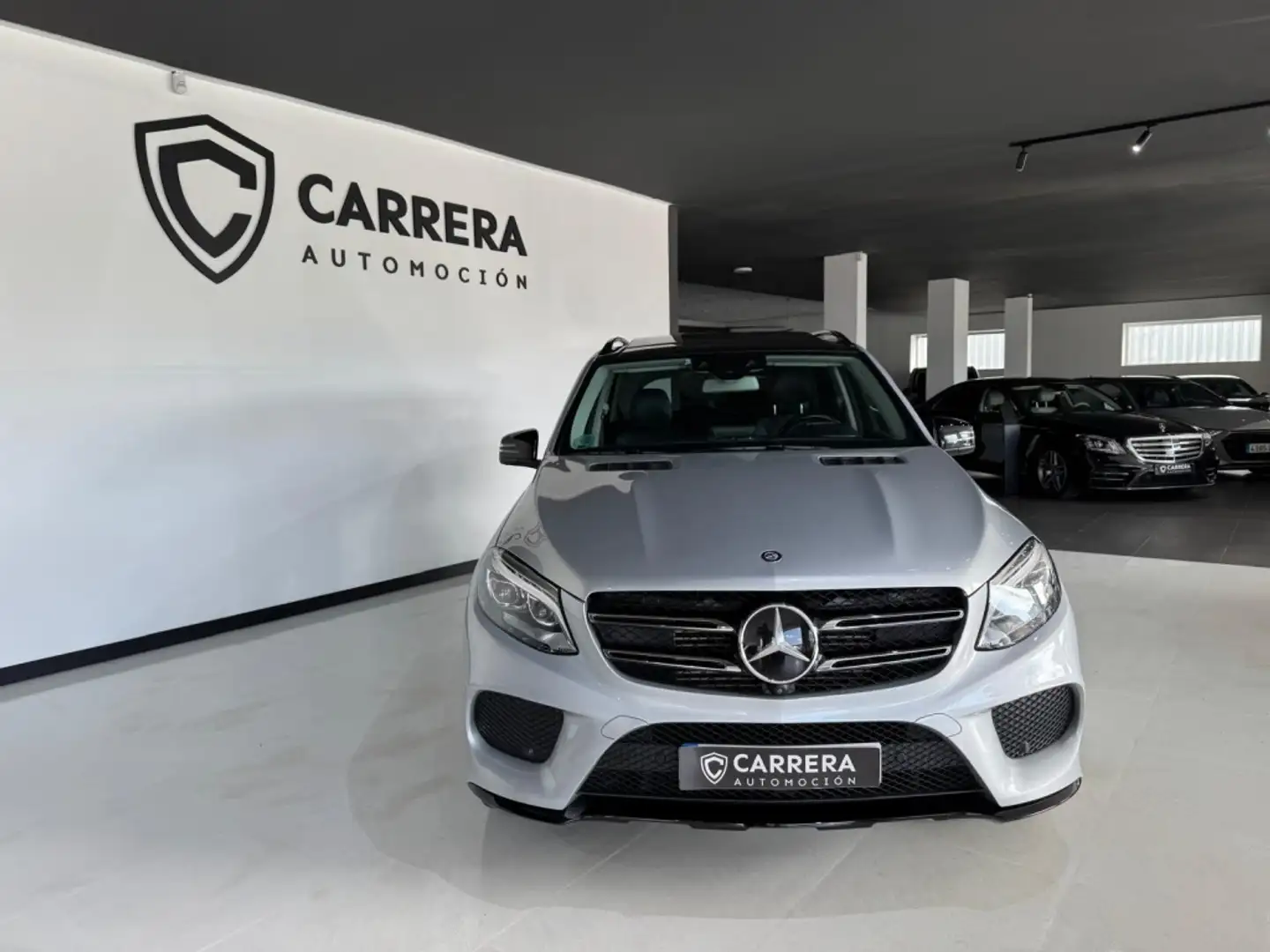 Mercedes-Benz GLE 350 350d 4Matic Aut. Gris - 2