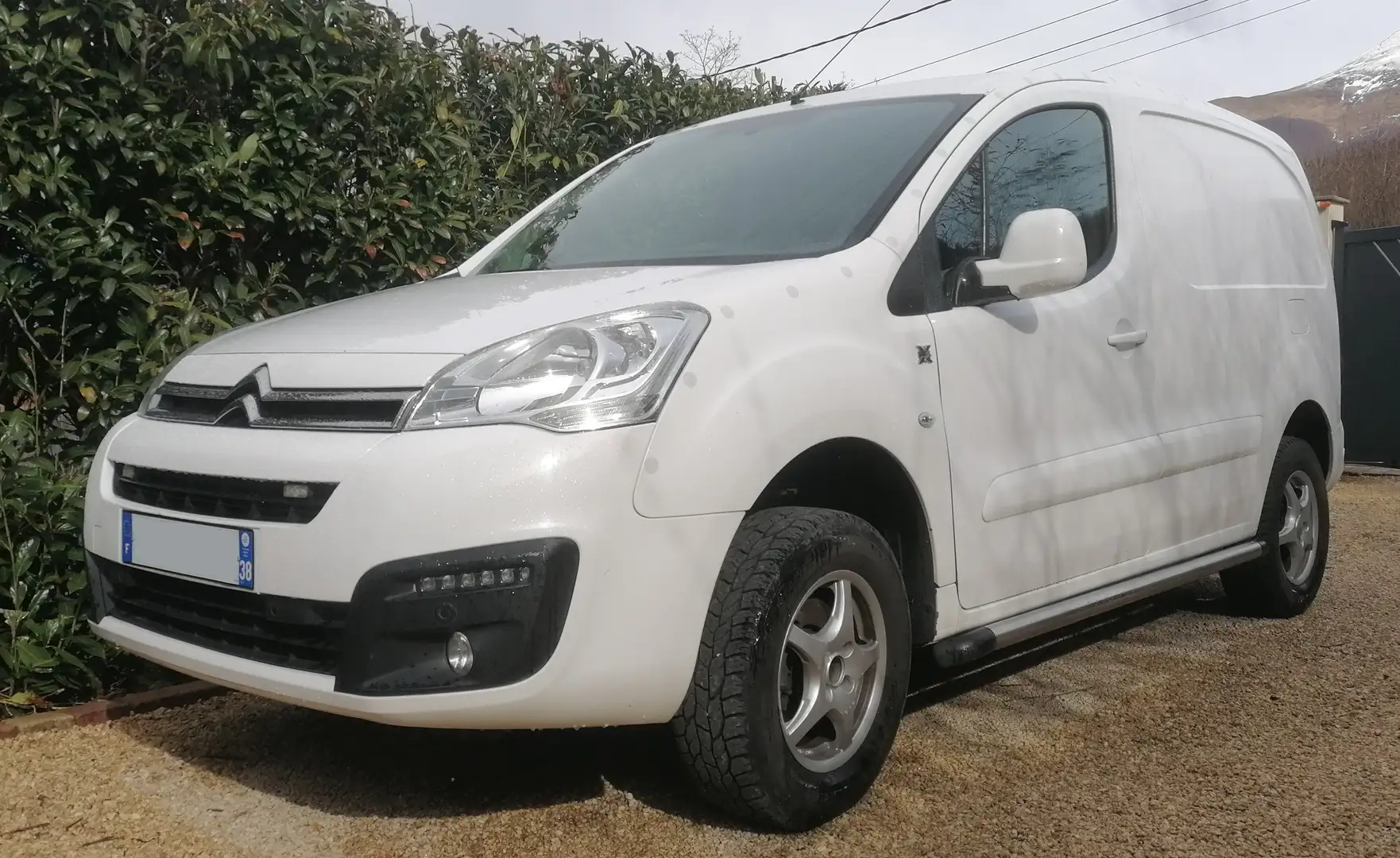 Citroen Berlingo BERLINGO 1.6 Hdi 100 4x4 Dangel Blanco - 1