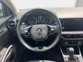 Skoda Fabia 1.0 TSI KAMERA SHZ ACC KESSY ACC LED-S.5JG Gris - thumbnail 10