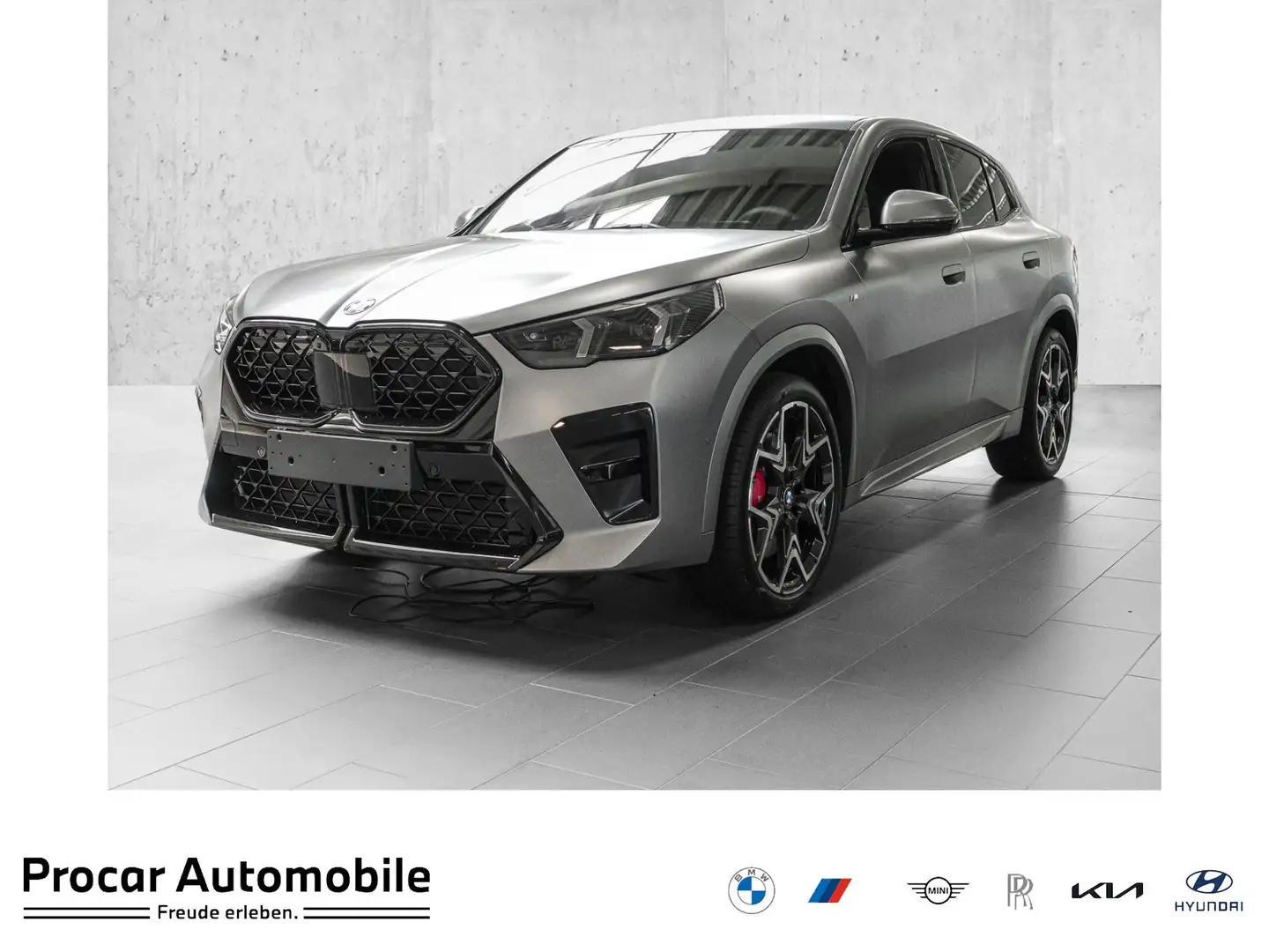 BMW X2 sDrive20i MSportPro HuD LKH H/K DA-Prof PA+ LED Grau - 1
