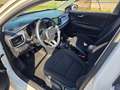Kia Rio 1.0 T-GDi 74kW (100CV) Concept Blanco - thumbnail 9