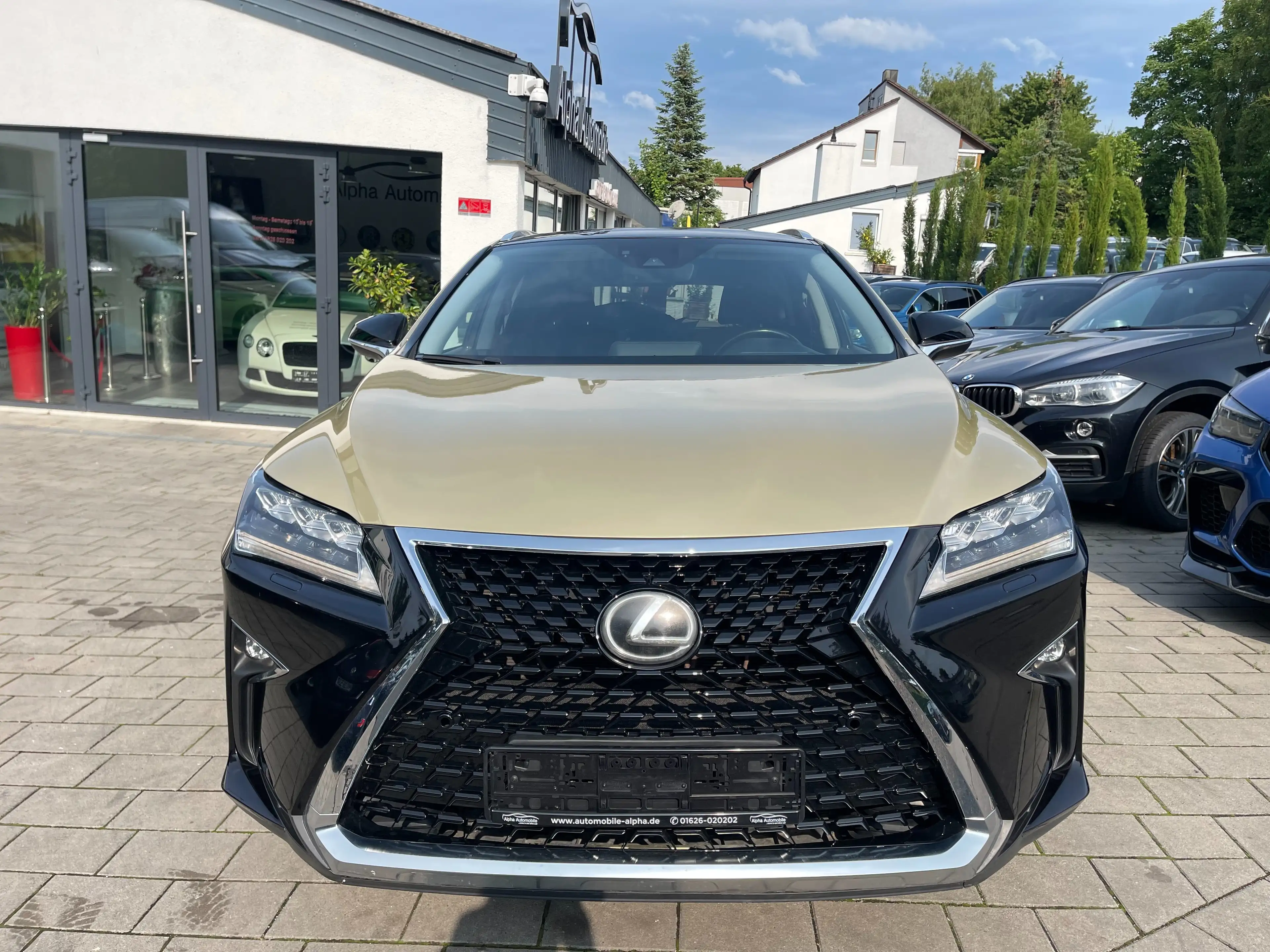 Lexus RX 200t 200t AWD — photo 2