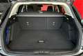 Ford Focus Focus 1.5 EcoBlue 120 CV automatico SW Business Co Grigio - thumbnail 13