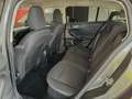 Ford Focus Focus 1.5 EcoBlue 120 CV automatico SW Business Co Grigio - thumbnail 12