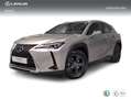 Lexus UX 250h 2.0 Business Gris - thumbnail 1
