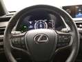 Lexus UX 250h 2.0 Business Gris - thumbnail 13