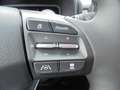 Hyundai KONA Elektro SELECT-Paket, Effizienz-Paket Beige - thumbnail 18