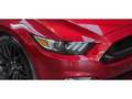 Ford Mustang GT FASTBACK 5.0 V8 420 BVA / FULL HISTO FORD / MALUS INCLUS Rouge - thumbnail 4