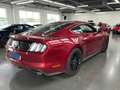 Ford Mustang GT FASTBACK 5.0 V8 420 BVA / FULL HISTO FORD / MALUS INCLUS Rosso - thumbnail 5