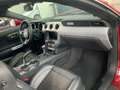Ford Mustang GT FASTBACK 5.0 V8 420 BVA / FULL HISTO FORD / MALUS INCLUS Rosso - thumbnail 11