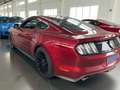Ford Mustang GT FASTBACK 5.0 V8 420 BVA / FULL HISTO FORD / MALUS INCLUS Rosso - thumbnail 4