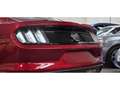 Ford Mustang GT FASTBACK 5.0 V8 420 BVA / FULL HISTO FORD / MALUS INCLUS Rouge - thumbnail 37