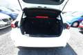 Ford Focus Titanium X ACC Nav LED Kam TotW KeyFree 92 kW (... Weiß - thumbnail 11