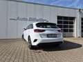 Kia Ceed / cee'd Ceed 5-Türer 1.5 T-GDI (140 PS) ISG DCT7 Spirit Te Weiß - thumbnail 5