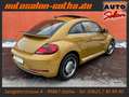 Volkswagen Beetle Design 1.4 TSI BMT XENON+LEDER PANO SHZ Jaune - thumbnail 4