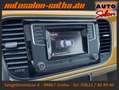 Volkswagen Beetle Design 1.4 TSI BMT XENON+LEDER PANO SHZ Jaune - thumbnail 17