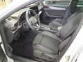 CUPRA Leon Sportstourer 1.5 eTSI DSG 5JGAR+ACC+GJR+NAVI+SHZ Weiß - thumbnail 9