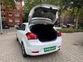 Kia ProCeed / pro_cee'd /AUTOMATIK/SCHIEBEDACH/SHZ/KL Weiß - thumbnail 9