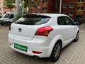 Kia ProCeed / pro_cee'd /AUTOMATIK/SCHIEBEDACH/SHZ/KL Weiß - thumbnail 5