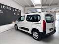 Citroen Berlingo 1.2 puretech 110cv S&S Live 7posti Bianco - thumbnail 15