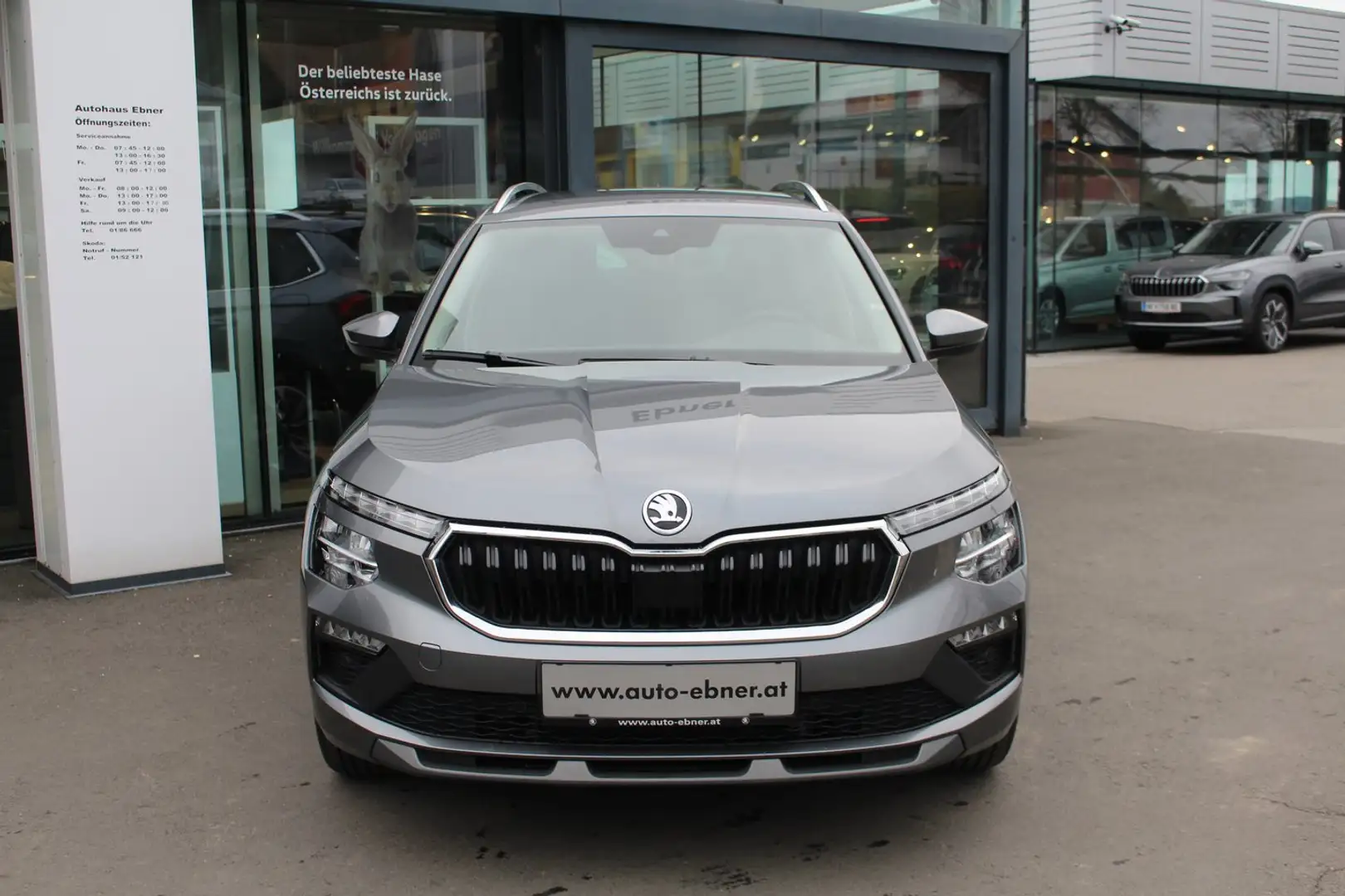 Skoda Kamiq Selection TSI Grau - 2