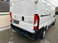 Peugeot Boxer Kasten Hochraum 333 L2H2 Premium BlueHDi Weiß - thumbnail 4