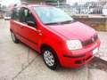 Fiat Panda Panda 1.2 Dynamic 5 POSTI** NAVIGATORE** - thumbnail 4