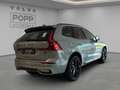 Volvo XC60 T8 AWD Plus Black Edition FACELIFT 21" 360° HUD Grau - thumbnail 5