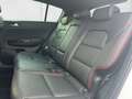 Kia Sportage 2.0 AWD (48V M-H) GT LINE, PANO, TECH LED Weiß - thumbnail 13