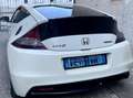 Honda CR-Z CR-Z 1.5 Sport Blanco - thumbnail 2