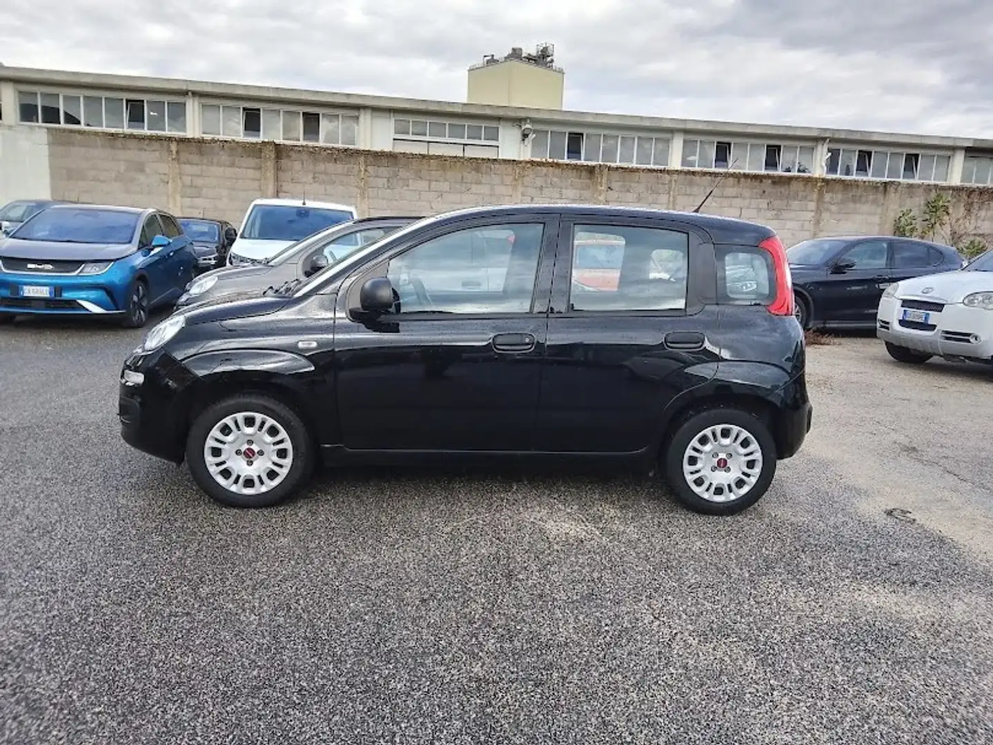 Fiat Panda Panda III 2016 1.2 Easy easypower Gpl 69cv my19 Nero - 2