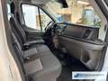Ford Transit Pritsche 350 L2 Doppelkabine Basis AHK DAB Spurhal Weiß - thumbnail 8