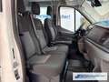 Ford Transit Pritsche 350 L2 Doppelkabine Basis AHK DAB Spurhal Weiß - thumbnail 9