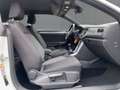 Volkswagen T-Roc 1.5 TSI ACTIVE 5JG+ACC+NAVI+SHZ Weiß - thumbnail 12