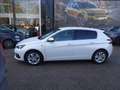 Peugeot 308 1,5 BlueHDI 130 Tech Edition S&S EAT8 Aut. Weiß - thumbnail 16