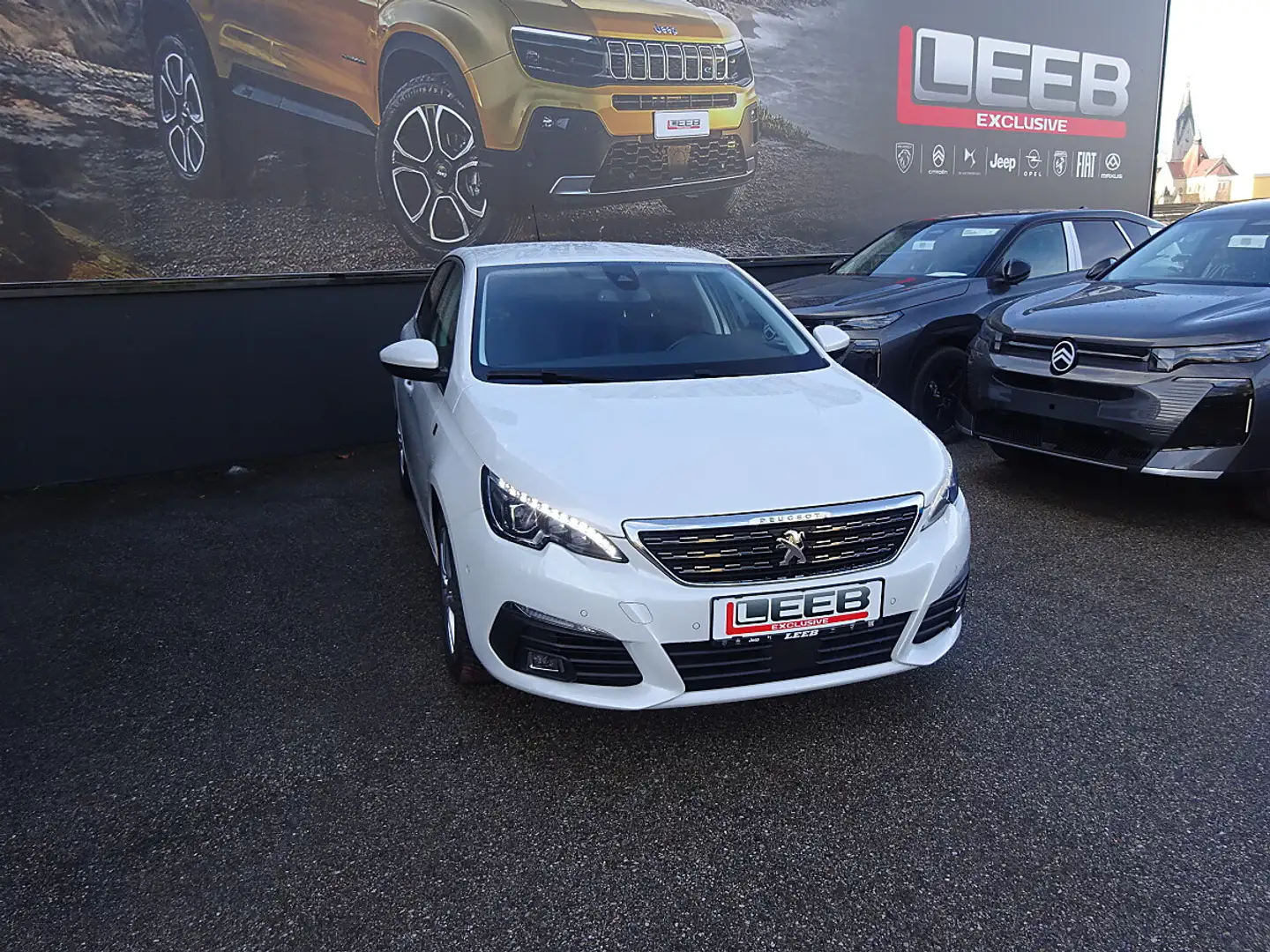 Peugeot 308 1,5 BlueHDI 130 Tech Edition S&S EAT8 Aut. Weiß - 2