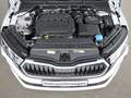 Skoda Octavia Combi 2.0 TDI DSG Selection Weiß - thumbnail 23