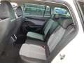 Skoda Octavia Combi 2.0 TDI DSG Selection Blanco - thumbnail 8