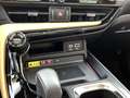 Lexus NX 350h AWD Launch Edition | Panoramadak | Leder | Elek. a Grijs - thumbnail 13