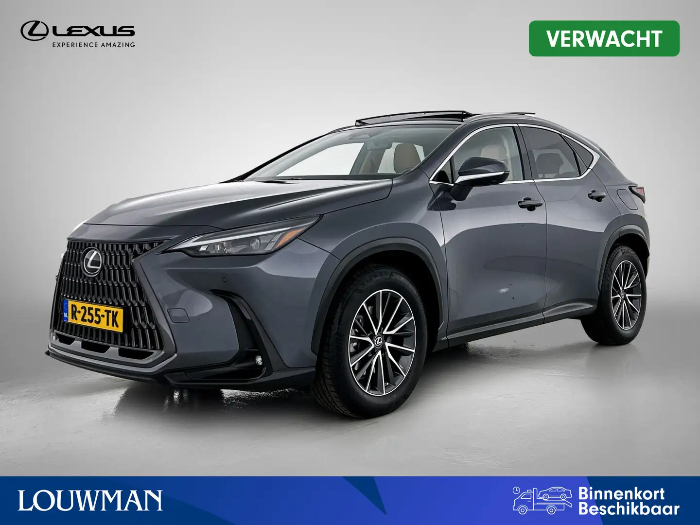 Lexus NX 350h AWD Launch Edition | Panoramadak | Leder | Elek. a Gri - 1