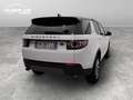 Land Rover Discovery Sport 2.0 td4 SE awd 150cv auto my18 Wit - thumbnail 6