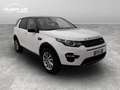 Land Rover Discovery Sport 2.0 td4 SE awd 150cv auto my18 Wit - thumbnail 8