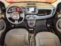 Fiat Panda III 2021 1.0 firefly hybrid s - IVA ESPOSTA Schwarz - thumbnail 10