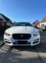 Jaguar XE 25t Pure Alb - thumbnail 1