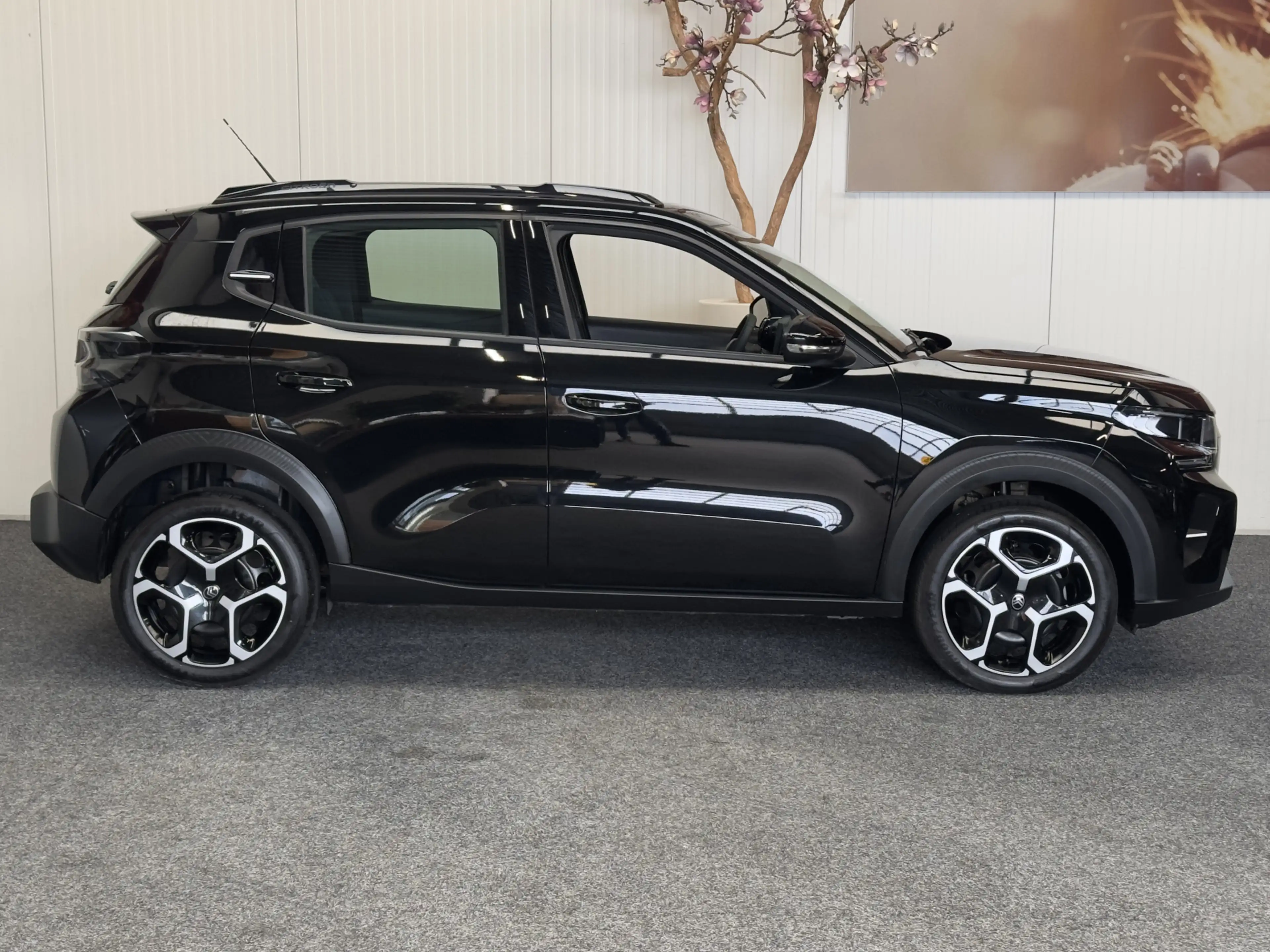Citroen C3 1.2 TURBO PLUS 100PK NIEUW MODEL 2025 50 STUKS OP — photo 9